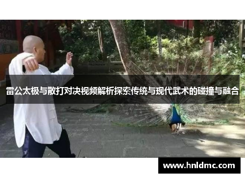 雷公太极与散打对决视频解析探索传统与现代武术的碰撞与融合
